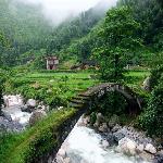 ��ˮ����