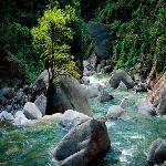 ��ˮ����